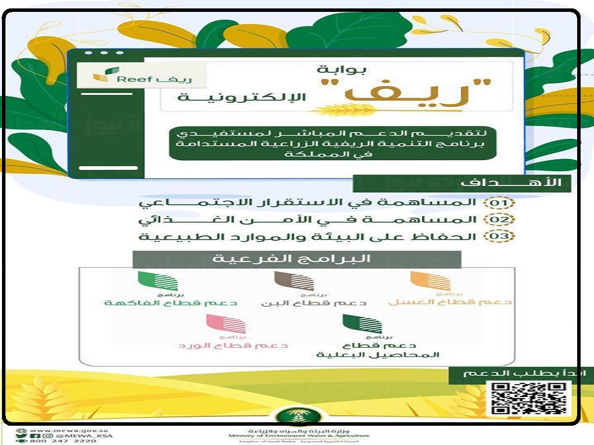 دعم-ريف-1444-شهادة-العمل-الحر-التحقق-الشهري-من.jpg