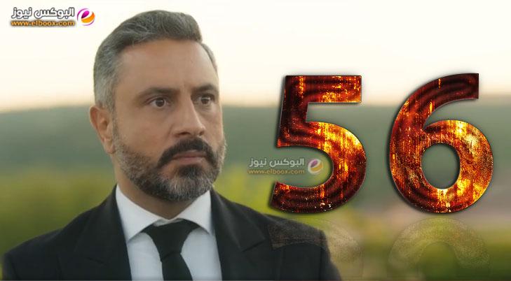 ستيلتو الحلقة ٥٦ | مسلسل ستيليتو الحلقة 56 بطولة كاريس بشار