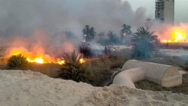 السيطرة على حريق داخل منطقة زراعية في الإسماعيلية