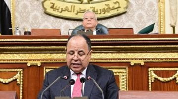 وزير المالية: 5 أيام فقط وتنتهى مبادرة «تيسير استيراد سيارات المصريين بالخارج» – البوكس نيوز