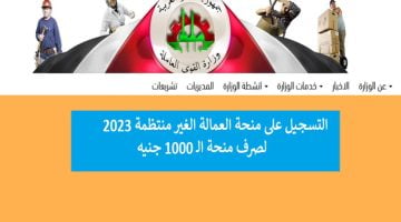 لينك التسجيل في منحة العمالة الغير المنتظمة 2023 خطوات الحصول عليها في دقيقة – البوكس نيوز