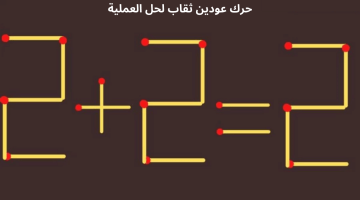 2+2=0 عملية حسابية خاطئة حرك عودين ثقاب وستصبح صحيحة للعباقرة – البوكس نيوز