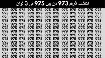 اختبار معدل الذكاء بالوهم البصري.. لديك عيون نسر إذا تمكنت من اكتشاف الرقم 973 من بين 975 في 3 ثوانٍ – البوكس نيوز