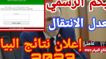 رابط نتائج البيام الجزائر نتائج التعليم المتوسط 2023 – البوكس نيوز