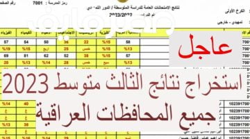 استخراج نتائج الثالث المتوسط العراق 2023 بجميع المحافظات Pdf – البوكس نيوز