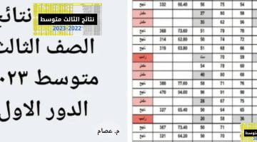 الاستعلام عن نتائج الثالث متوسط العراق 2023 بالخطوات – البوكس نيوز