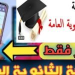 نتائج-الثانويه-العامه-قطر.jpeg