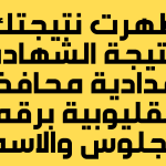 نتيجة-الشهادة-الاعدادية-القليوبية-2022.png