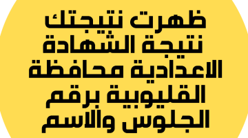 نتيجة الشهادة الاعدادية القليوبية 2023 برقم الجلوس والاسم نتيجة الصف الثالث الاعدادي الترم الثاني – البوكس نيوز