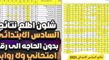 نتائج السادس الابتدائي البصرة 2023 دور اول رسمياً بالخطوات – البوكس نيوز