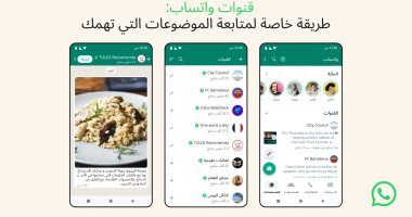 ميتا تعلن إطلاق خاصية قنوات واتساب فى مصر – البوكس نيوز
