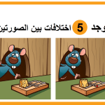 أوجد-5-اختلافات.png