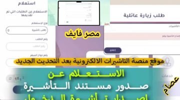 الاستعلام عن تأشيرة دبي برقم الجواز فى 4 دقائق فقط بعد التحديث – البوكس نيوز