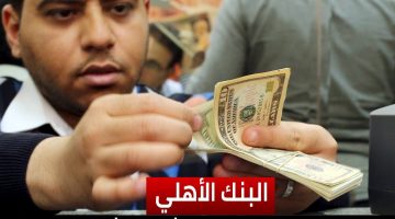 بفايدة 37 % شهادات البنك الأهلي الجديدة بالدولار فرصة متتعوضش وبدون السؤال عن مصدر الأموال – البوكس نيوز