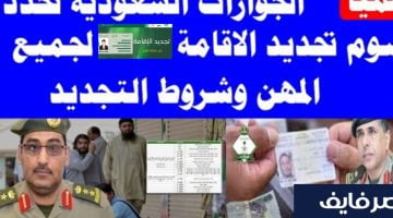 رسوم تجديد الإقامة في السعودية جميع الفئات 2023 شروط جديدة – البوكس نيوز