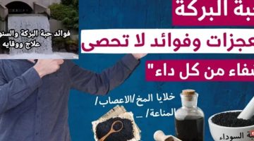 فوائد حبة البركة علي الريق للنساء علاج لكل الأمراض 100% تعرف عليها – البوكس نيوز