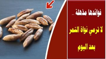 فوائدها مذهلة .. لا ترمي نواة التمر بعد اليوم – البوكس نيوز