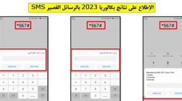 لينك نتائج البكالوريا الجزائر 2023 وكيفية الإستعلام مجانا – البوكس نيوز