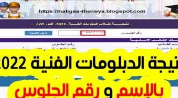 رابط مباشر نتيجة الدبلومات الفنية صناعي تجاري زراعي 2023 – البوكس نيوز