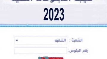 رسميا.. نتيجة طلاب شهادة الدبلومات الفنية 2023.. نتيجة الدبلومات الفنية الصناعية 2023.. نتيجة دبلوم زراعة.. نتيجة دبلوم تجارة 2023 – البوكس نيوز