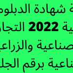 نتيجة-شهادة-الدبلومات-الفنية-2022.png