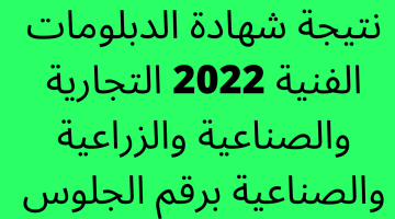 ظهرت حالاً…. نتيجة شهادة الدبلومات الفنية 2023 الدور الاول التجارية والصناعية والزراعية والصناعية برقم الجلوس – البوكس نيوز