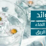 فوائد-شرب-الماء-على-الريق.webp.webp