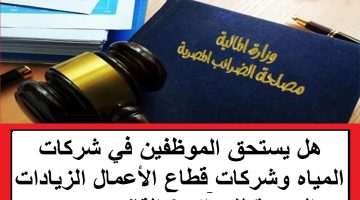 الان – هل يستحق الموظفين في شركات المياه وشركات قطاع الأعمال الزيادات الجديدة للرواتب؟ القانون يجيب – البوكس نيوز