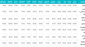 الان – معدلات القبول في جامعة العلوم والتكنولوجيا 2023.. معدلات القبول في الجامعة الهاشمية.. معدلات القبول في جامعة العلوم والتكنولوجيا 2024 – البوكس نيوز