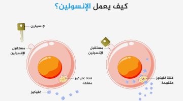 علماء يصممون جرعة إنسولين ذكية لعلاج مرضى السكري | صحة – البوكس نيوز