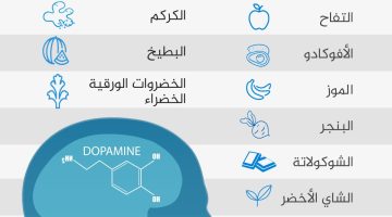 هرمون التفاؤل.. تعرف على الدوبامين وكيف تزيده طبيعيا في الجسم | صحة – البوكس نيوز