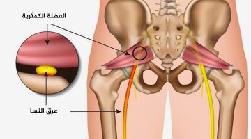 كيف أعرف أني حامل رقم 1.. ما أكثر 10 أسئلة بحث عنها العرب في غوغل عام 2023؟ | صحة – البوكس نيوز