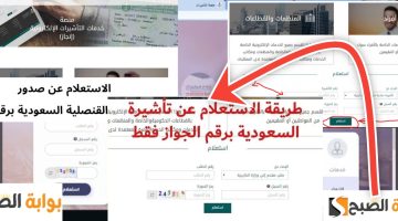 استعلام عن تأشيرة برقم الجواز أو برقم الهوية ومتطلبات الحصول عليها في 15 ثانية
