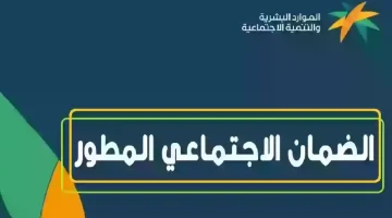 ما هو رقم الضمان الاجتماعي المجاني الموحد وكيفية التواصل مع البرنامج للاستفسار وتقديم الشكاوى؟