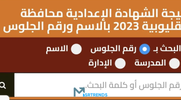 الان – الآن.. نتيجة نت القليوبية.. نتيجة الشهادة الإعدادية محافظة القليوبية 2023 برقم الجلوس اليوم السابع.. رابط نتيجة الشهادة الإعدادية – البوكس نيوز