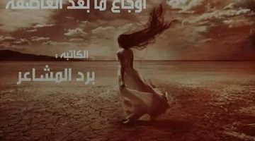 أوجاع ما بعد العاصفة الجزء الثاني  للكاتبة برد المشاعر