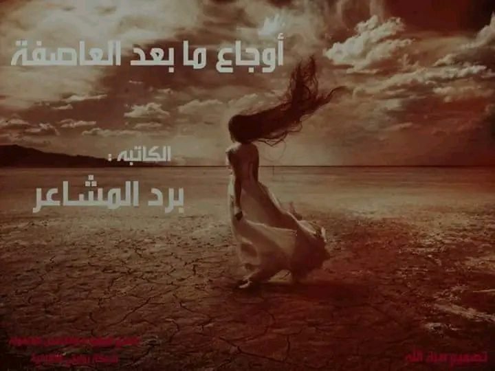 أوجاع ما بعد العاصفة الجزء الثاني  للكاتبة برد المشاعر