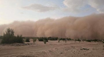 امر نادر يجتاح مأرب اليوم(تفاصيل وصور)