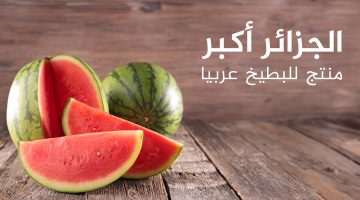 تعرف على أكثر الدول إنتاجا وتصديرا للبطيخ.. بينها 3 بلدان عربية | اقتصاد – البوكس نيوز