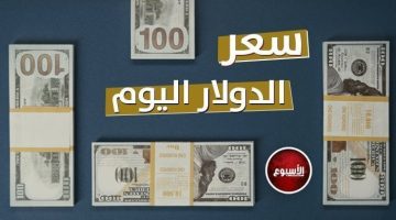 وصل كام؟.. سعر الدولار مقابل الجنيه المصري اليوم السبت 10 أغسطس 2024