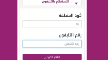 الاستعلام عن فاتورة التليفون الأرضي لشهر مايو 2024.. اعرف الخطوات