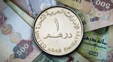 سعر الدرهم الإماراتي مقابل الجنيه المصري اليوم الاثنين 24 يونيو 2024