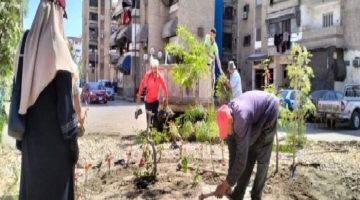 داخل حي الزهور ببورسعيد.. مسطحات خضراء بدلاً من تجمعات القمامة