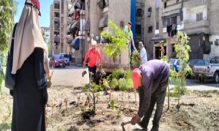 داخل حي الزهور ببورسعيد.. مسطحات خضراء بدلاً من تجمعات القمامة