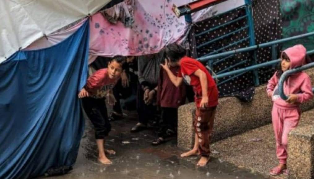 مليون فلسطيني بغزة يواجهون أعلى مستويات المجاعة