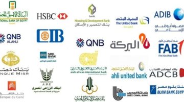 البنك المركزي: ارتفاع الأصول المملوكة لأكبر 10 بنوك بالقطاع لـ 14.094 تريليون جنيه