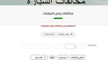 خطوات الكشف ودفع المخالفات المرورية «أونلاين»