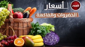 الخوخ البلدي بـ 50 جنيها.. .أسعار الخضروات والفاكهة اليوم الأحد 30 يونيو 2024