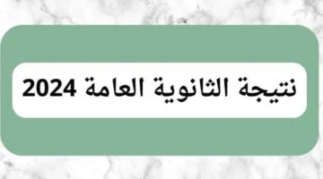 الان – تريندات مصريوفر نتيجة الثانوية العامة 2024 برقم الجلوس والاسم والتليفون – البوكس نيوز