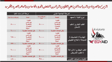 الان – عاجل| الطب بـ8 ألاف دولار.. زيادة مصروفات الجامعات المصرية للطلاب الوافدين – البوكس نيوز